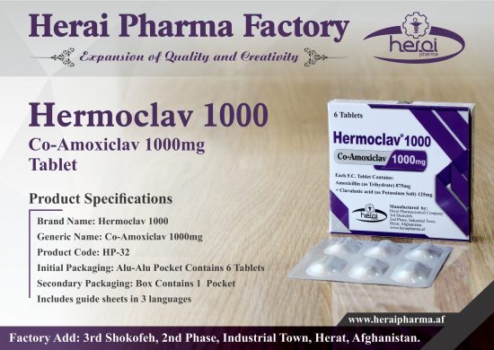 Hermoclav 1000